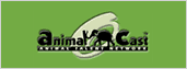 �A�j�}���L���X�g | �C�k�A�l�R����]�E�܂ŏo�������̈˗��͂�����